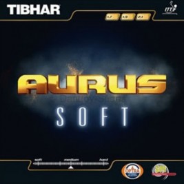 아우루스 소프트(Aurus Soft)