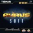 아우루스 소프트(Aurus Soft)