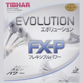 에볼루션 FX-P(EVOLUTION FX-P)