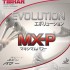 에볼루션 MX-P(EVOLUTION MX-P)